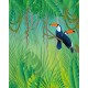 Papier peint adhésif panoramique Scène Jungle Toucan