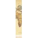 Papier peint adhésif panoramique Mappemonde Ancienne